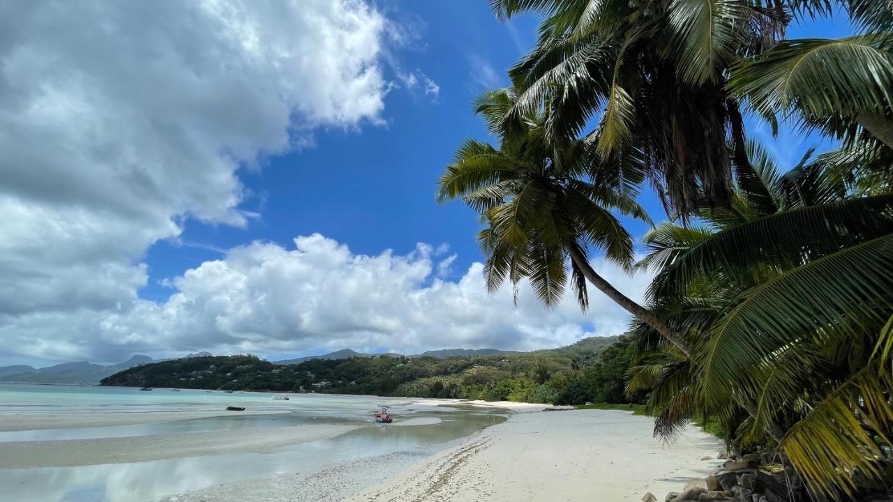 La Trouvaille Aparthotel Anse a La Mouche Exterior foto