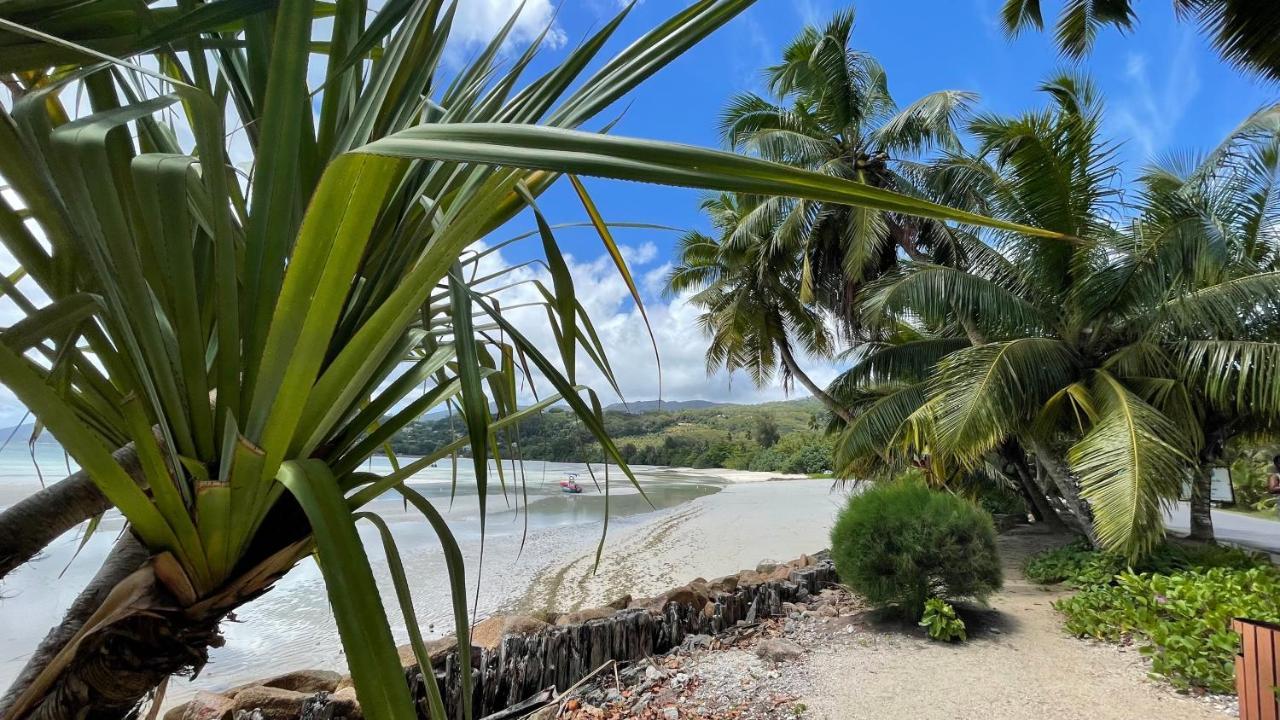 La Trouvaille Aparthotel Anse a La Mouche Exterior foto