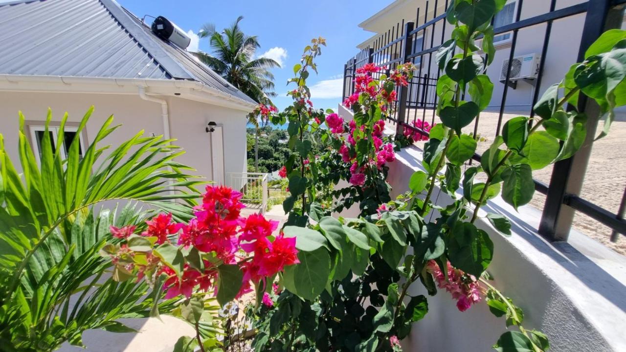 La Trouvaille Aparthotel Anse a La Mouche Exterior foto