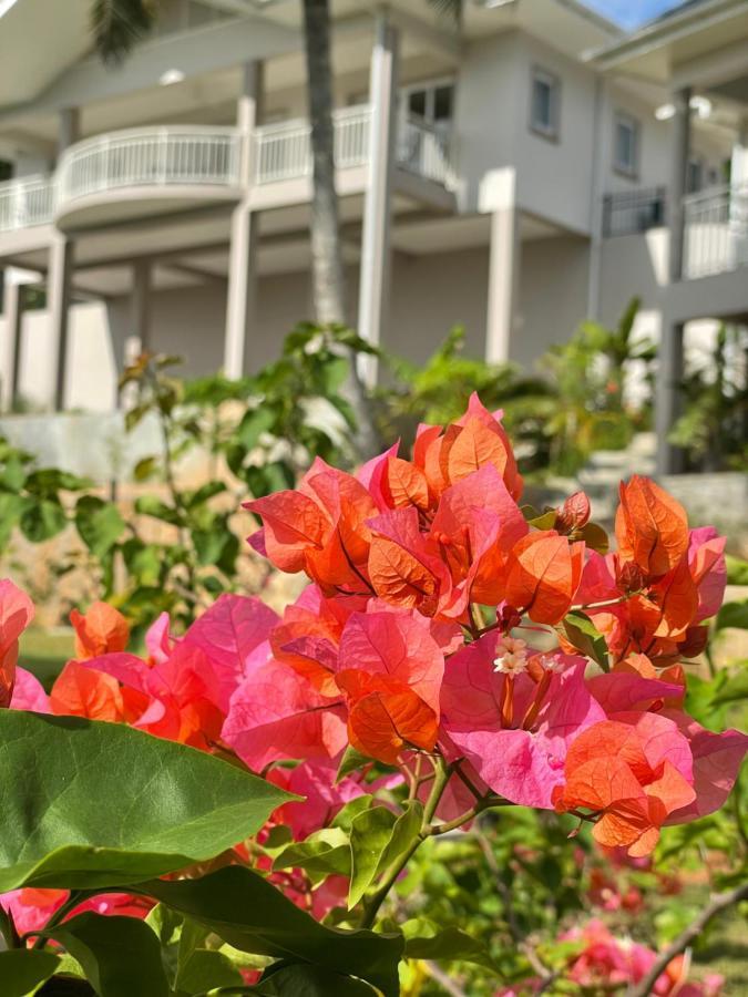 La Trouvaille Aparthotel Anse a La Mouche Exterior foto