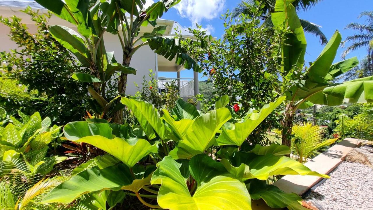 La Trouvaille Aparthotel Anse a La Mouche Exterior foto